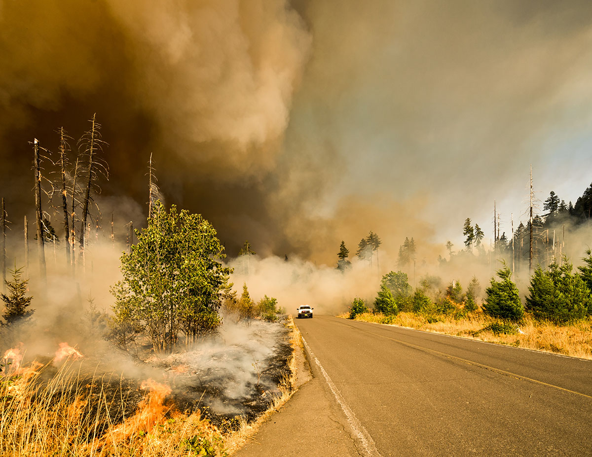 Getting Started with the International Disaster Database (EM-DAT) using ...